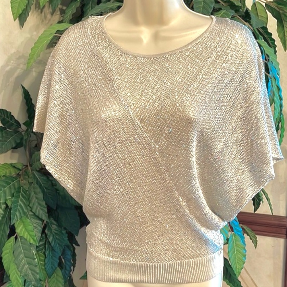 THE LIMITED GOLD SPARKLE DOLMAN SLEEVE TOP